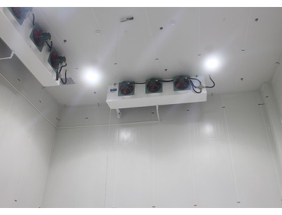 上海漢高化學1000立方防爆冷庫工程建造方案