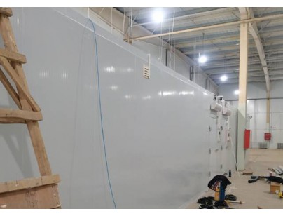 上海優(yōu)寧維集團生物醫(yī)藥冷藏、冷凍庫工程案例