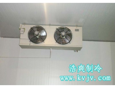 浙江永寧藥業股份公司醫藥冷庫設計建造方案