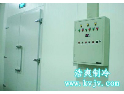 浙江永寧藥業股份公司醫藥冷庫設計建造方案