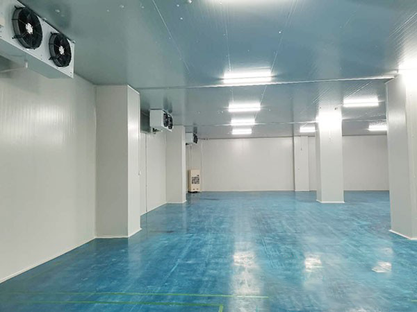 建個(gè)1000平方米的冷庫要多少錢？