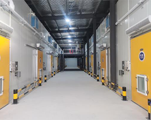 藥企公司建造低溫醫藥冷庫的方案和預算？