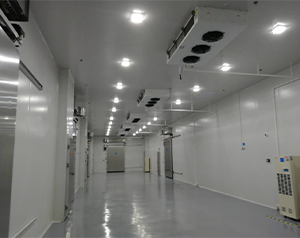 社區衛生中心冷庫的設計與建設規范