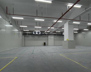 桃、李、杏有哪些貯藏特性？與貯藏保鮮有些什么關系？