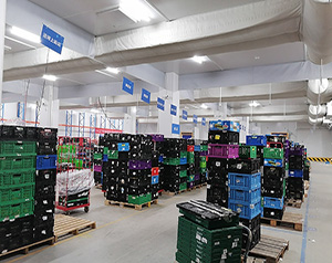 2萬方的農貿市場配多大面積的冷庫