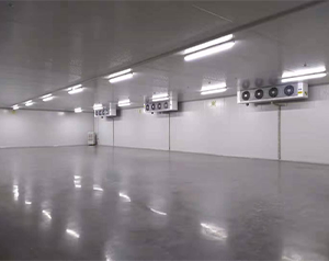 海南1500平醫(yī)藥倉庫冷庫造價多少錢？