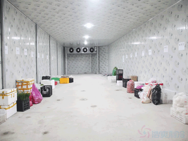 如何防止板栗在低溫凍庫中的發芽?