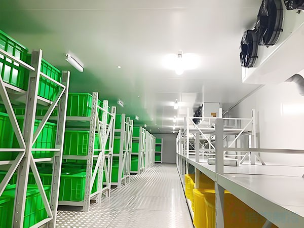 上海藥企冷鏈物流冷庫