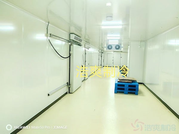 三甲醫院冷庫建設