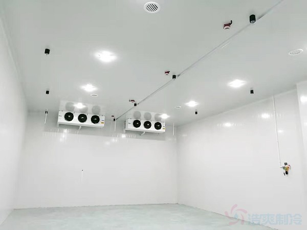 上海啤酒冷藏庫建設