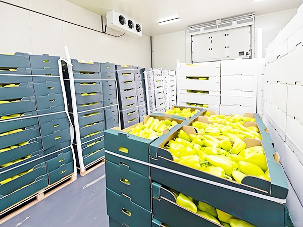 內蒙古葡萄氣調保鮮冷庫