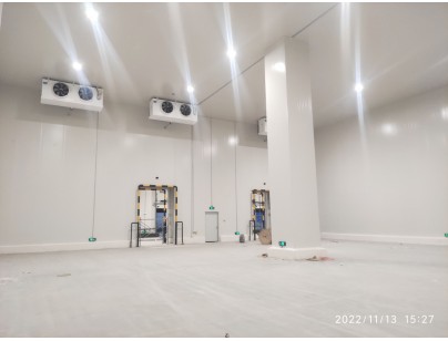 江蘇太倉遠洋物流二氧化碳復疊系統冷庫建造工程案例