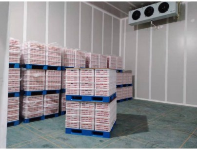 湖州練美農業果蔬產地型氣調冷庫建造工程案例