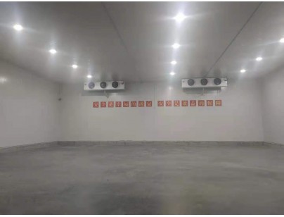 新疆伊寧78525m3保稅區冷鏈物流園大型冷庫建造工程