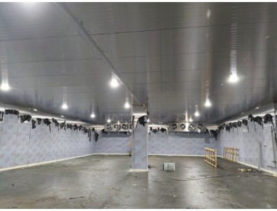 浙江省寧波市余姚創豐毛皮制品1206m3原料儲藏冷庫工程案例